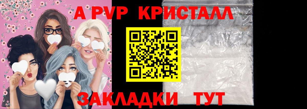 Альфа ПВП СК Ноябрьск