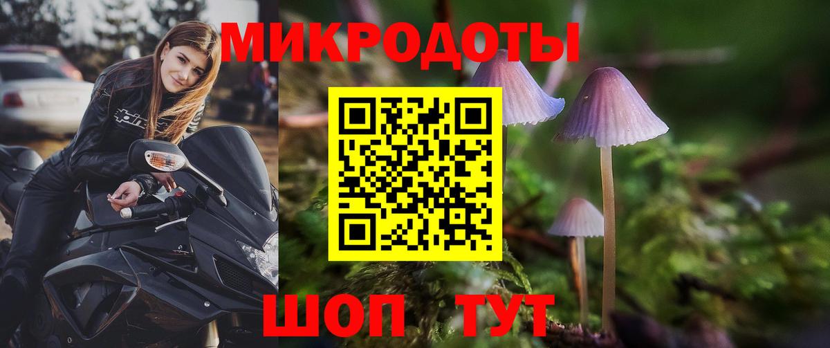 Псилоцибиновые грибы мухоморы  Галлюциногенные грибы Magic Shrooms  Вход с VPN  продажа наркотиков  Ноябрьск 